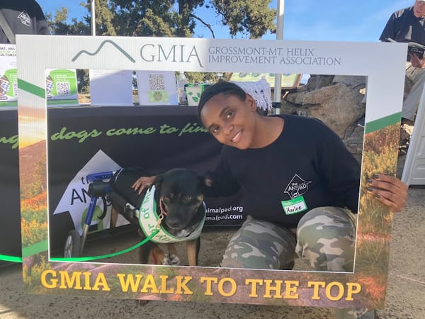 Start The New Year With Walk To Top Of Mt. Helix!